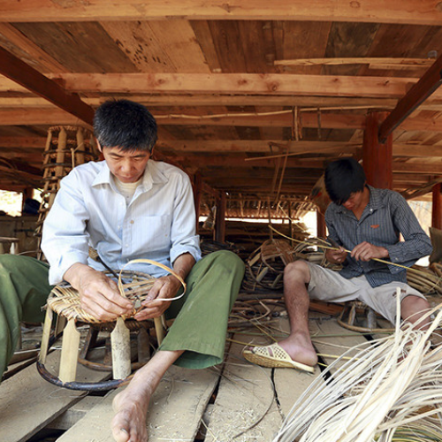 Làng Mây Tre Đan Điện Biên